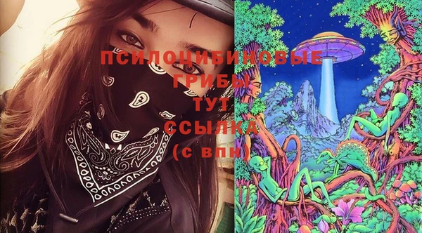 стаф Протвино
